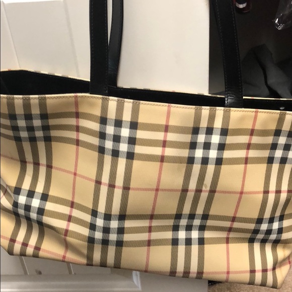 blueberry purse